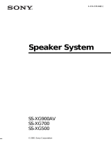 Sony SS-XG900AV Uživatelský manuál