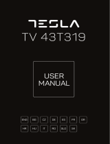 Tesla 43T319BF  Uživatelský manuál