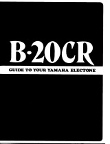 Yamaha B20CR Návod k obsluze
