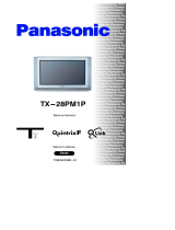 Panasonic TX28PM1P Operativní instrukce