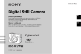 Sony DSC-W12 Návod k obsluze